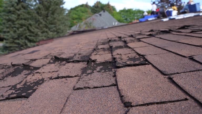 Best Wood Shake Roofing  in French Valley, CA