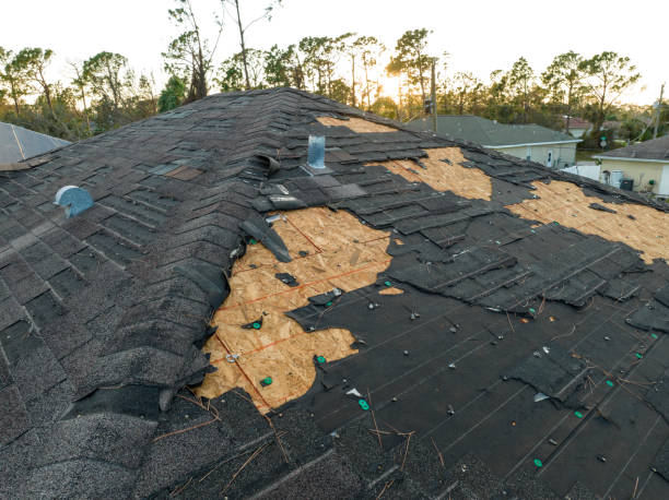 Best Chimney Flashing Repair  in French Valley, CA
