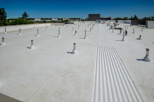 Best Storm Damage Roof Repair  in French Valley, CA